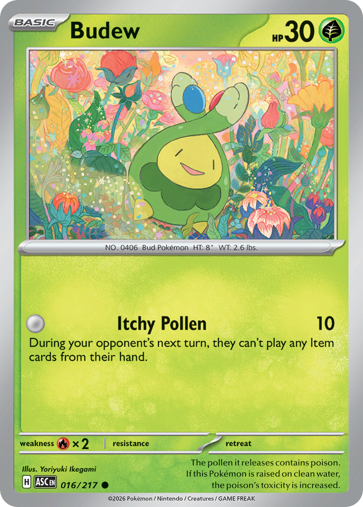 Budew Pokémon card