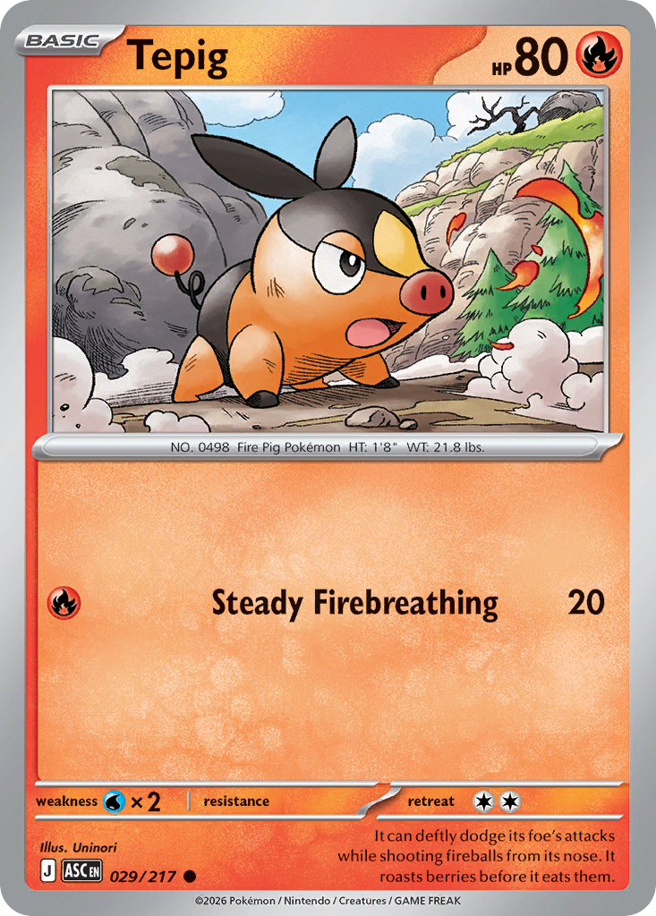 Tepig Pokémon card