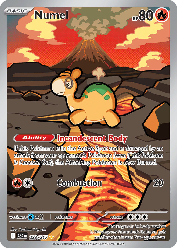 Numel Pokémon card