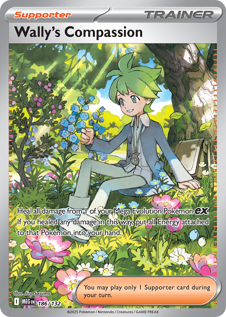 Wally's Compassion Pokémon card