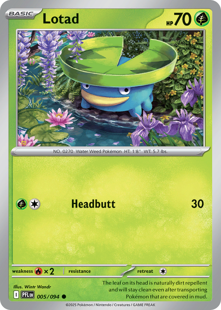 Lotad Pokémon card