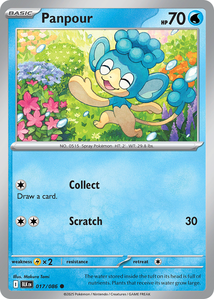 Panpour Pokémon card