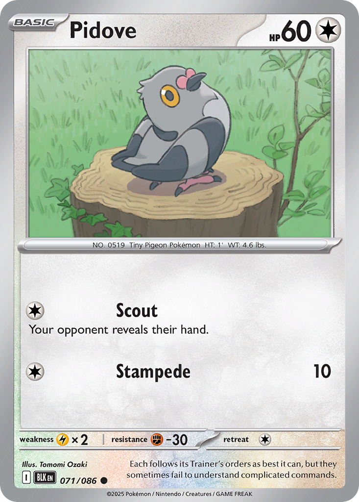Pidove Pokémon card