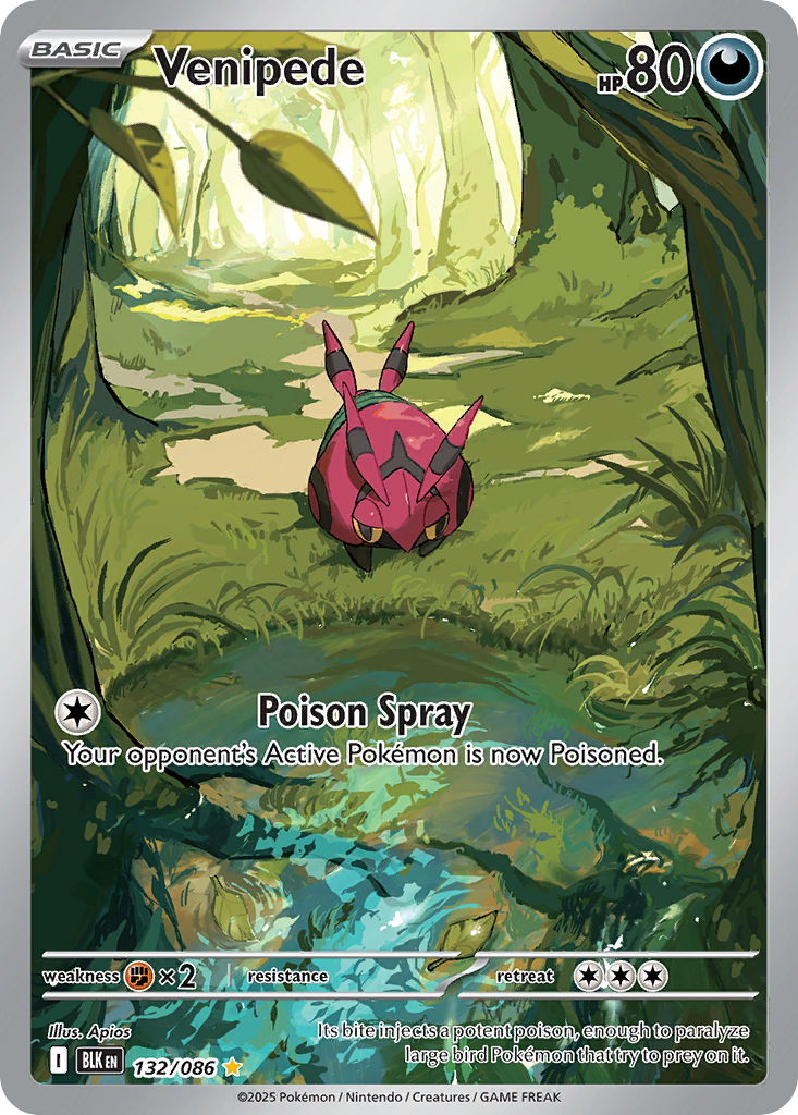 Venipede Pokémon card