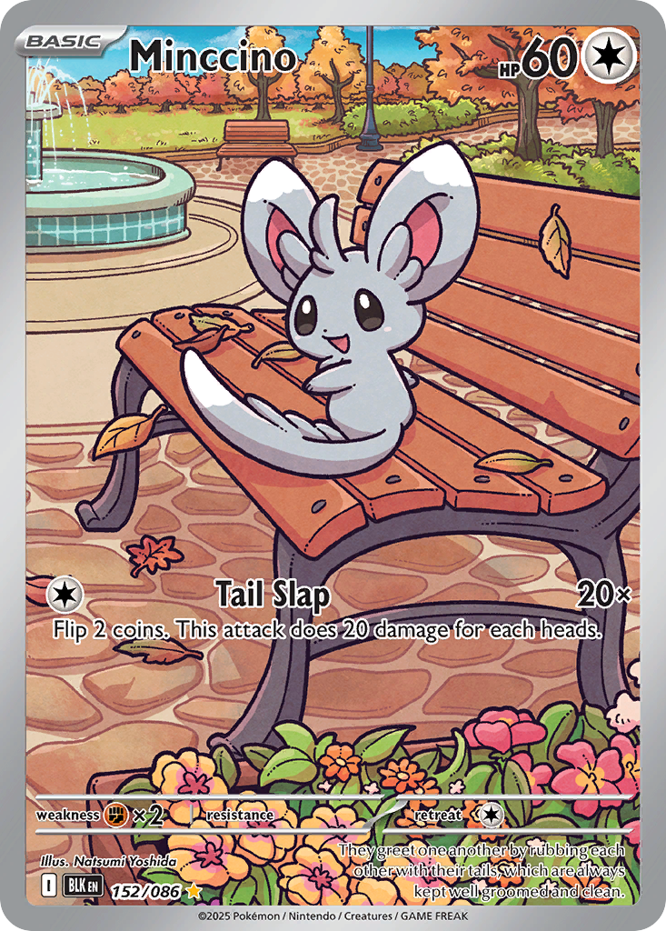 Minccino Pokémon card
