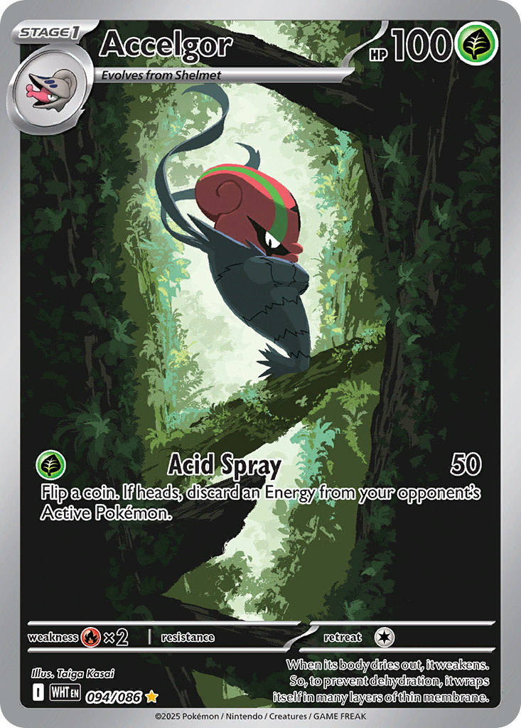 Accelgor Pokémon card