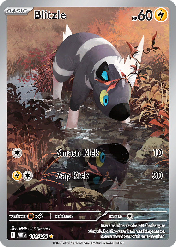 Blitzle Pokémon card