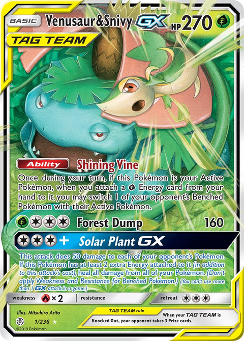 Venusaur & Snivy Tag Team GX