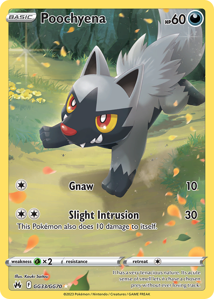 Poochyena Pokémon card