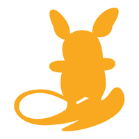 Sun & Moon Trainer Kit - Alolan Raichu Half Deck