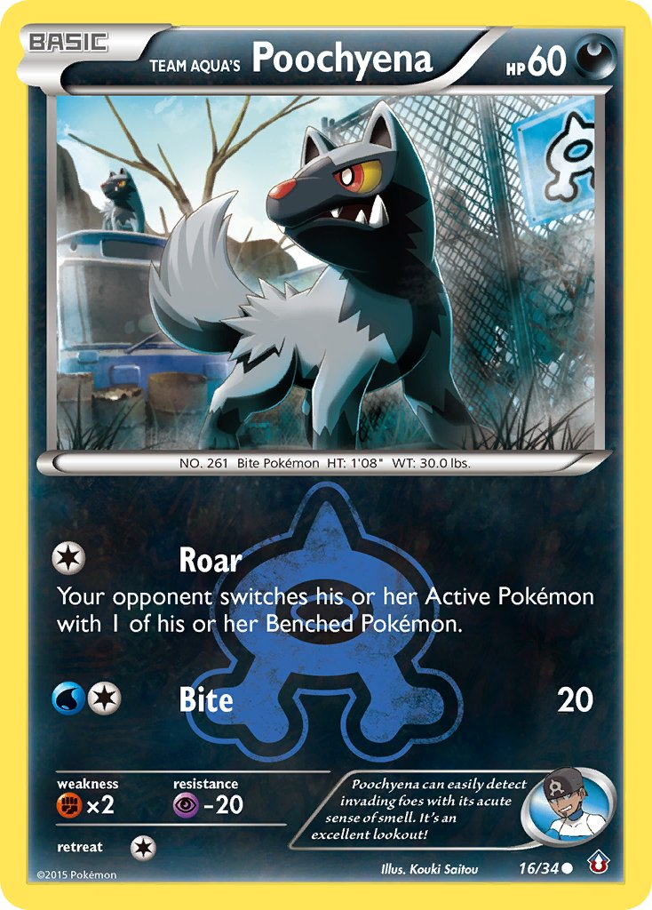 Team Aqua's Poochyena Pokémon card